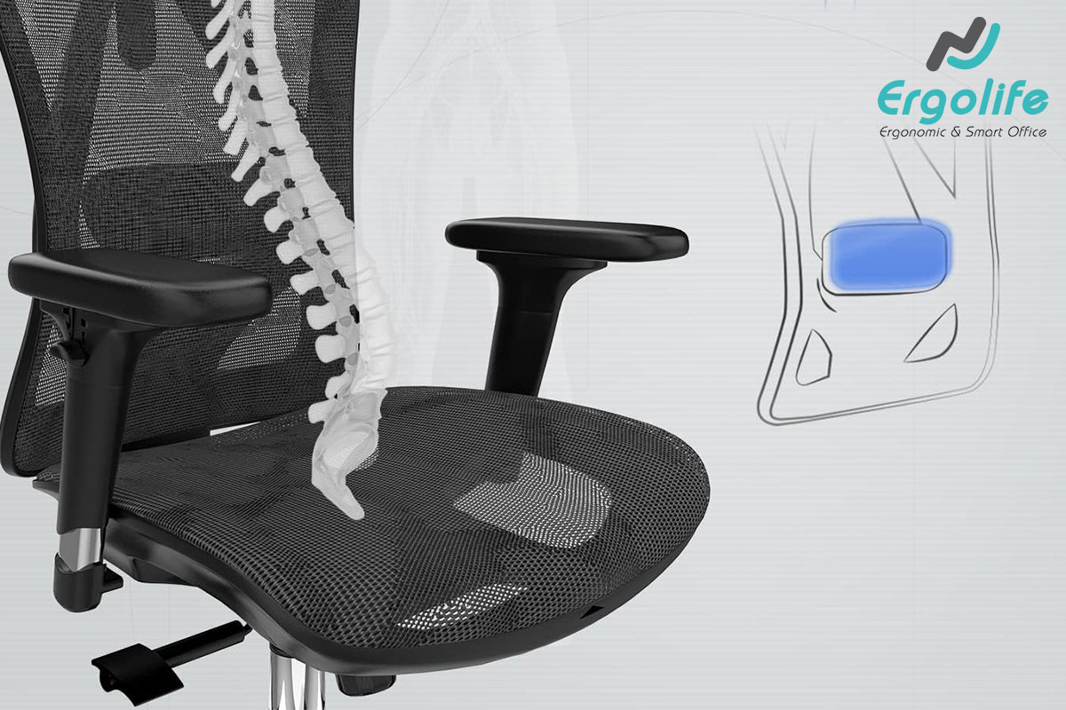 Lumbar Support là gì? Tầm quan trọng của Lumbar Support trên ghế công thái học